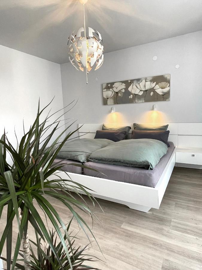 Am Weinberg - Stilvoll, Ruhig, Zum Wohlfuehlen Apartment Pfaffenweiler Ngoại thất bức ảnh